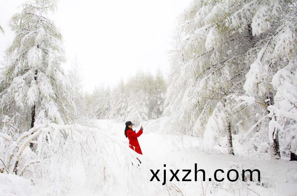 1539934956979527.jpg timg.jpg